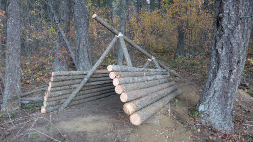Survival shelter log siding
