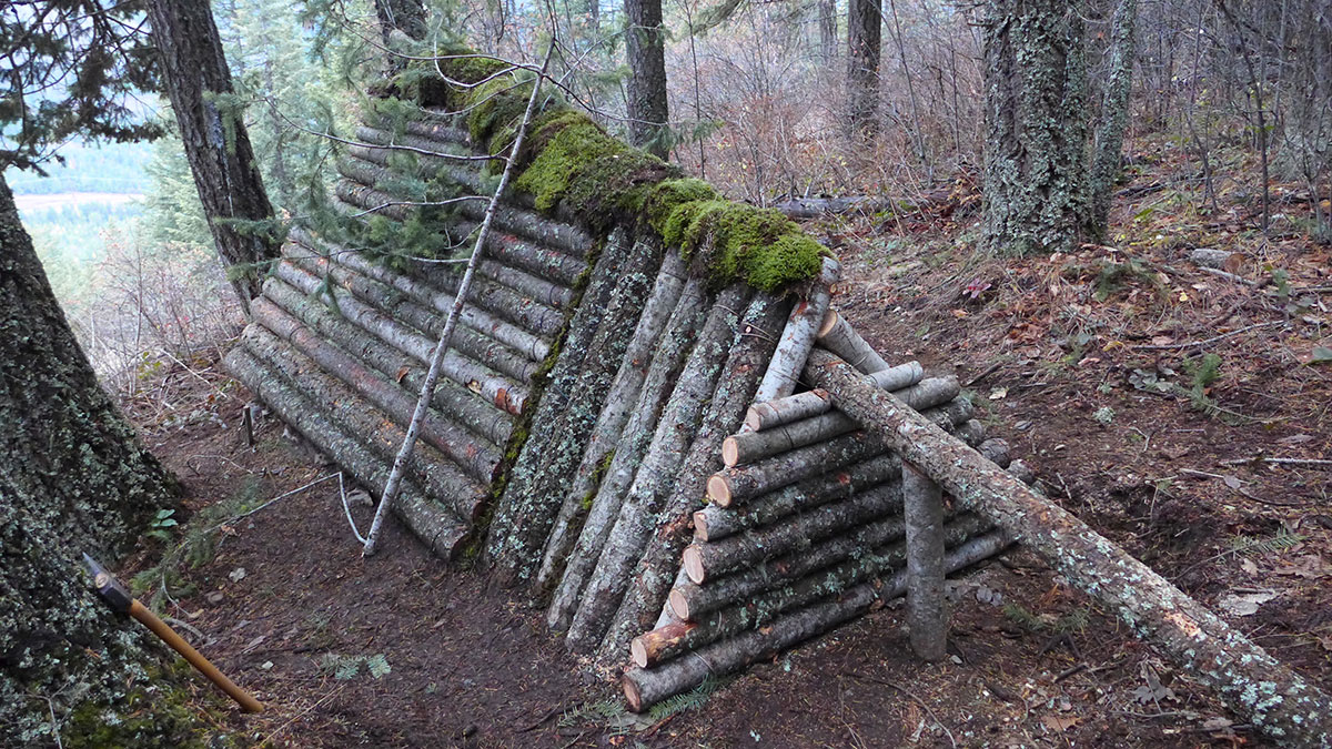 Survival shelter moss roof