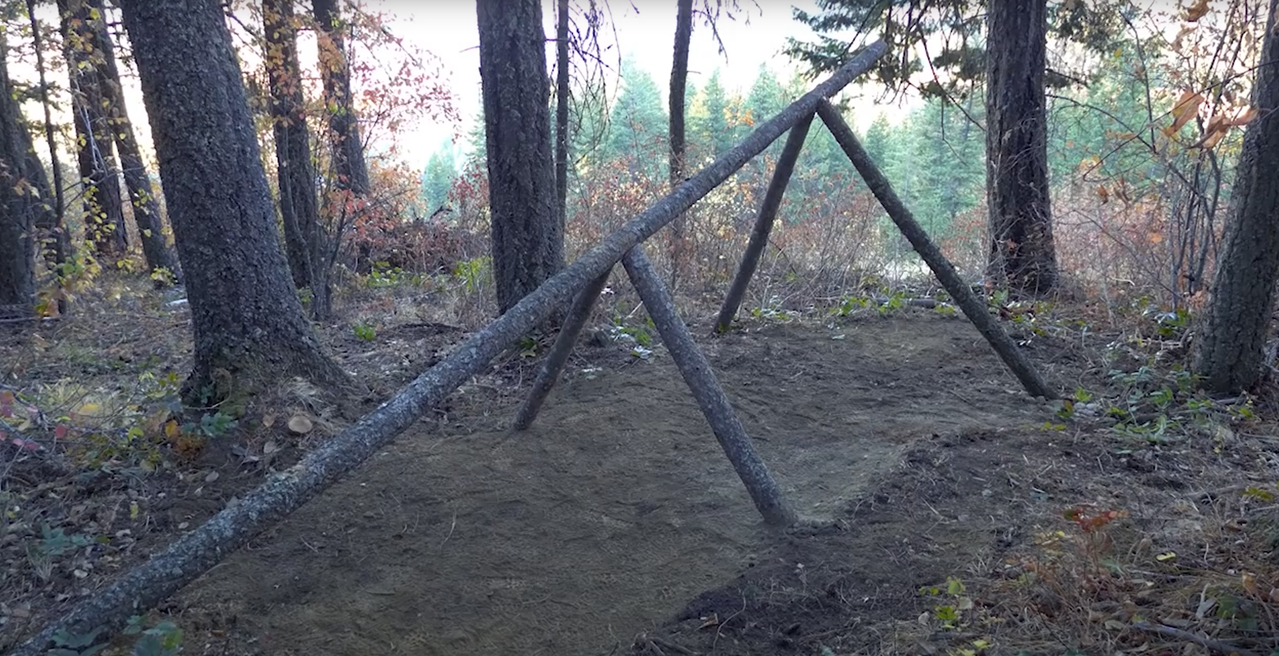 bushcraft shelter framework