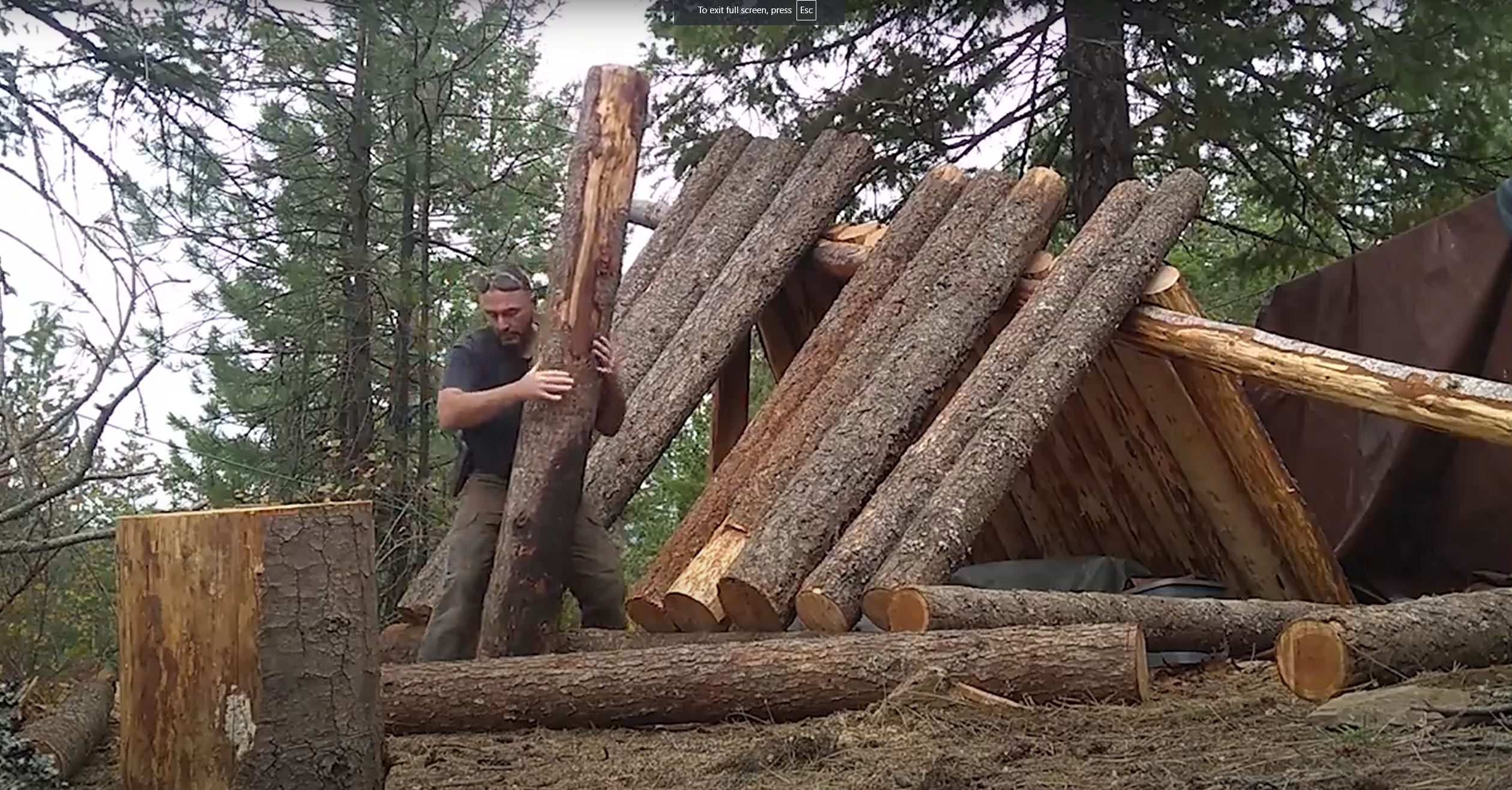 building shelter with logs