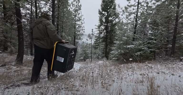 snow arrives at the off grid cabin