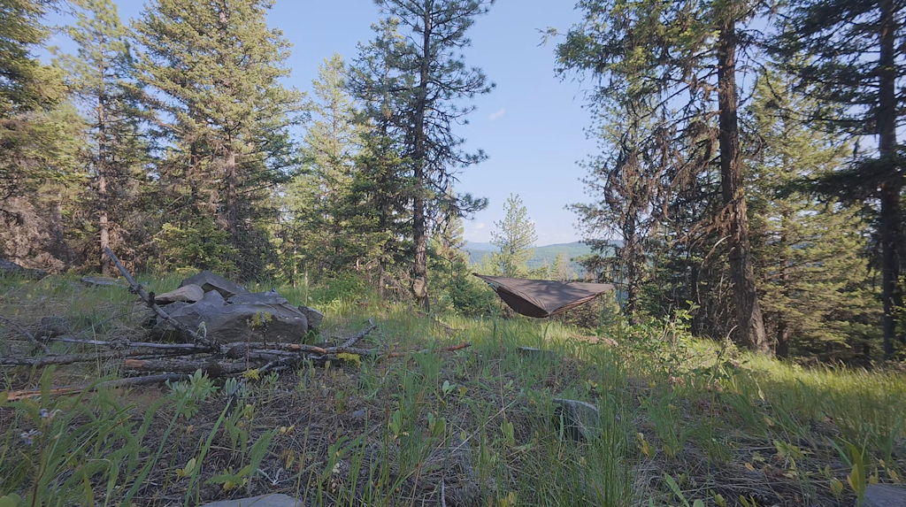 hammock camp